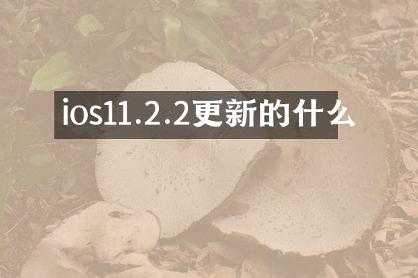 ios11.2.2更新的什么