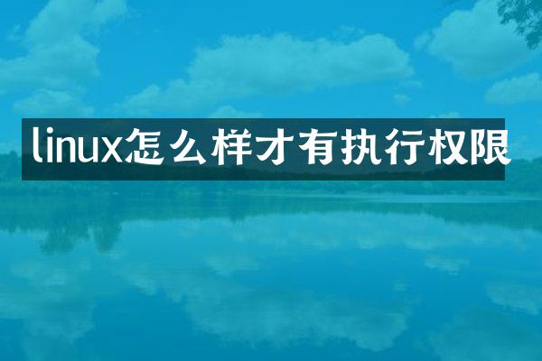 linux怎么样才有执行权限
