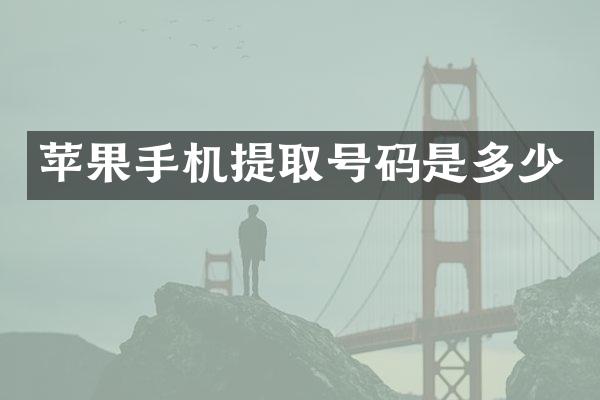 苹果手机提取号码是多少