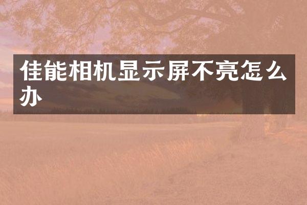 佳能相机显示屏不亮怎么办