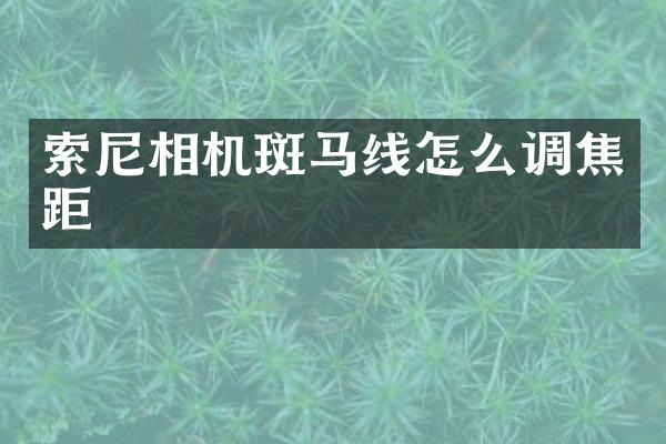 相机斑马线怎么调焦距