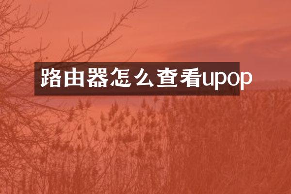 路由器怎么查看upop