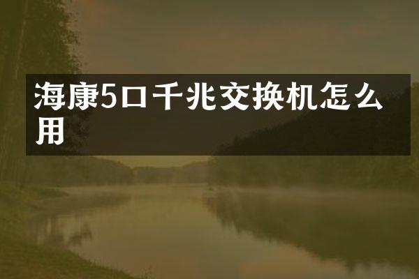 海康5口千兆交换机怎么使用