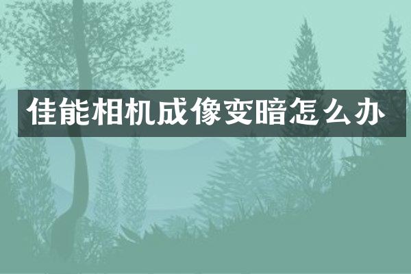 佳能相机成像变暗怎么办