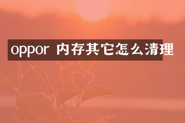 oppor 内存其它怎么清理