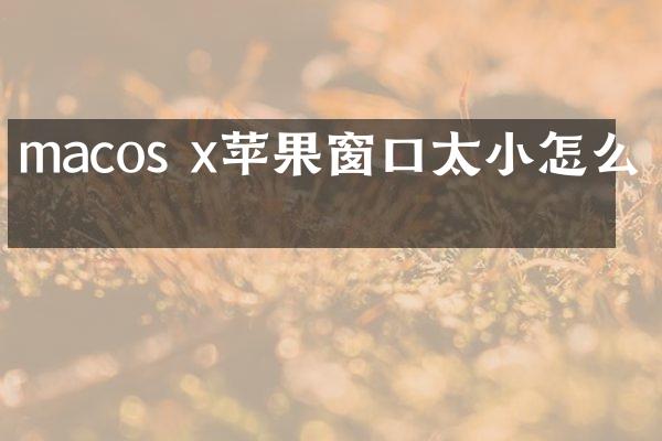 macos x苹果窗口太小怎么办