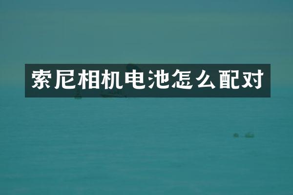 索尼相机电池怎么配对