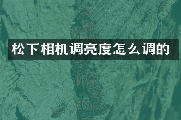 松下相机调亮度怎么调的