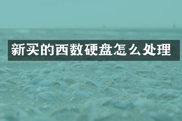 新买的西数硬盘怎么处理