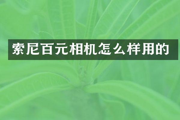 索尼百元相机怎么样用的