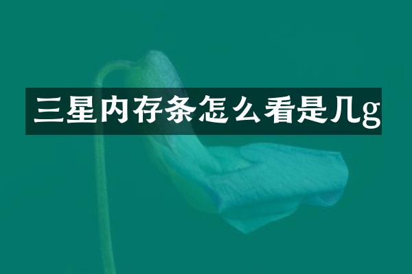 三星内存条怎么看是几g