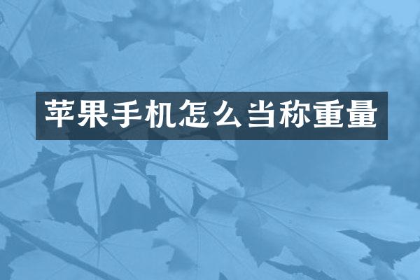 苹果手机怎么当称重量