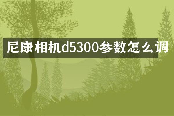 尼康相机d5300参数怎么调