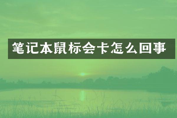 笔记本鼠标会卡怎么回事