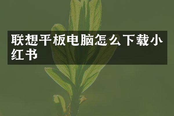 联想平板电脑怎么下载小红书