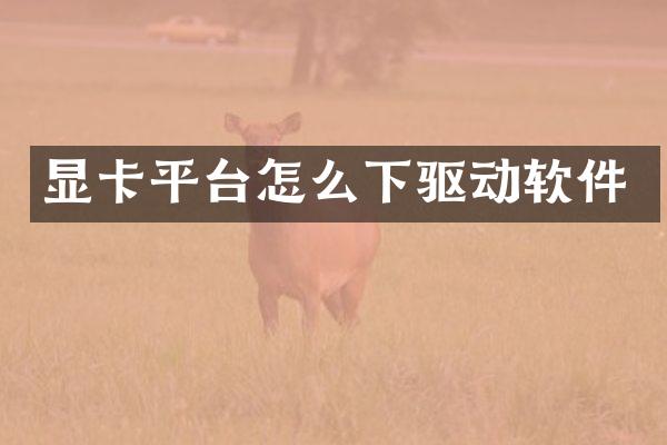 显卡平台怎么下驱动软件