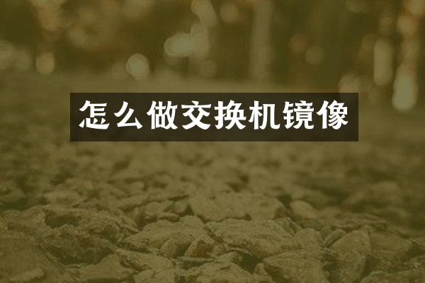 怎么做交换机镜像