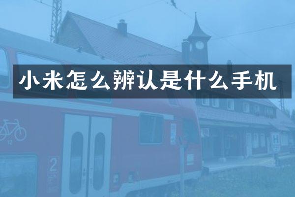 小米怎么辨认是什么手机