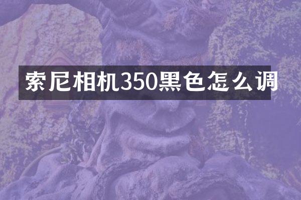 索尼相机350黑色怎么调