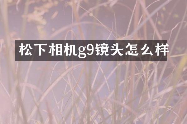 松下相机g9镜头怎么样