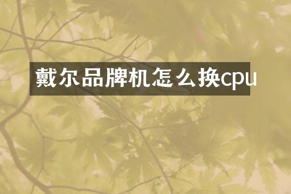 戴尔品牌机怎么换cpu