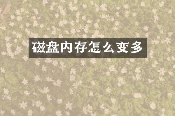 磁盘内存怎么变多