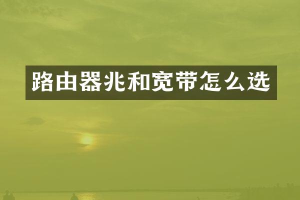 路由器兆和宽带怎么选