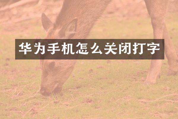 华为手机怎么关闭打字