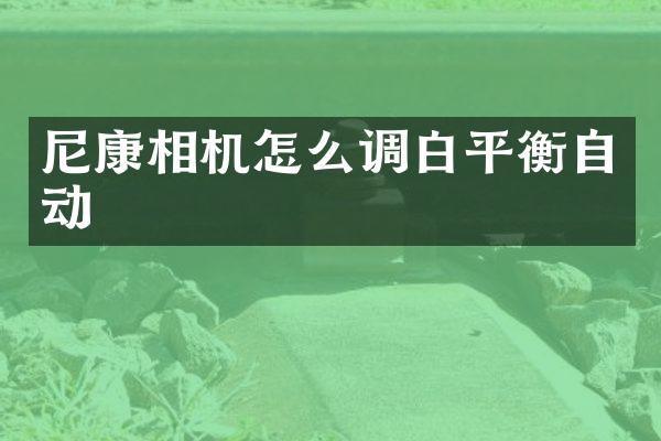 尼康相机怎么调白平衡自动