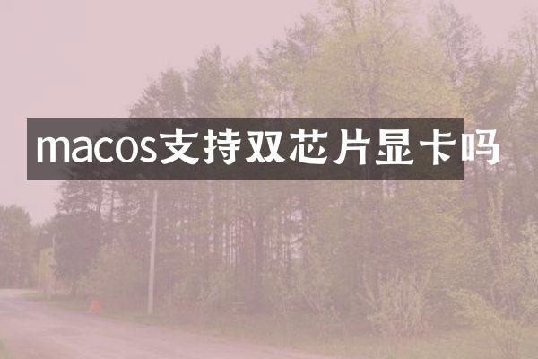 macos支持双芯片显卡吗
