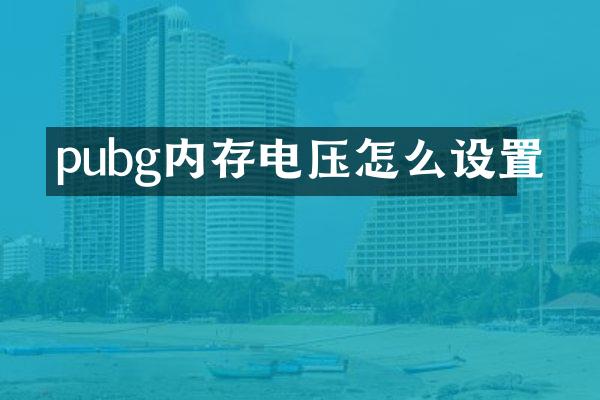 pubg内存电压怎么设置
