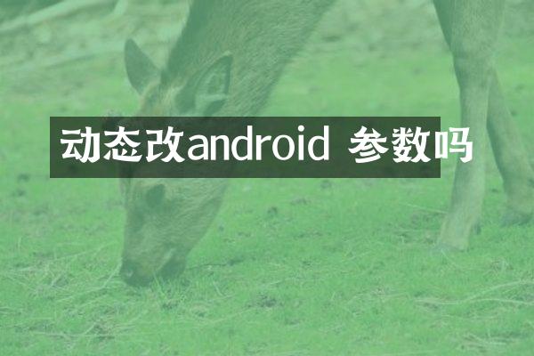 动态改android 参数吗