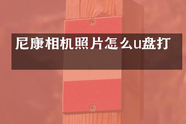 尼康相机照片怎么u盘打开