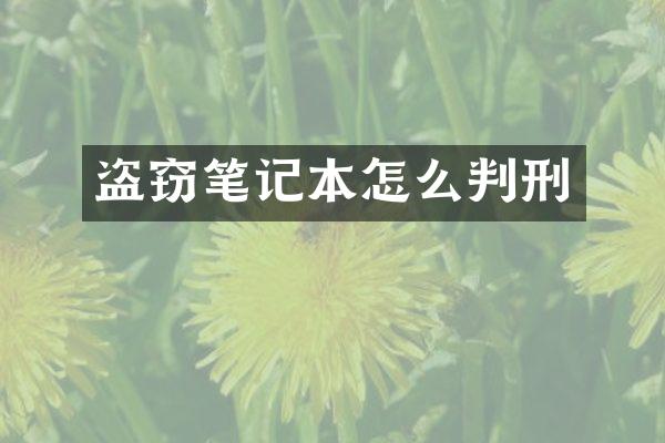 盗窃笔记本怎么判刑