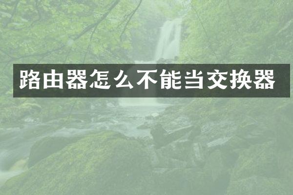 路由器怎么不能当交换器