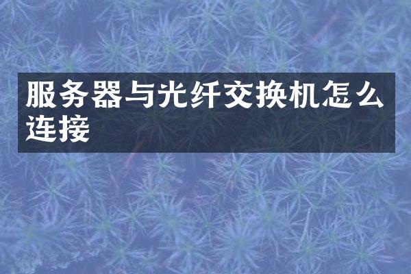 服务器与光纤交换机怎么连接
