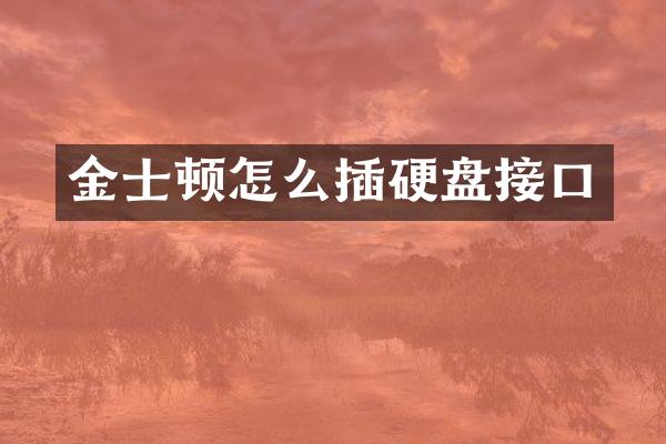 金士顿怎么插硬盘接口