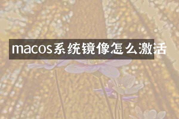 macos系统镜像怎么激活