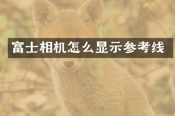 富士相机怎么显示参考线