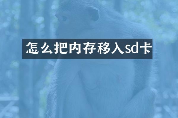 怎么把内存移入sd卡
