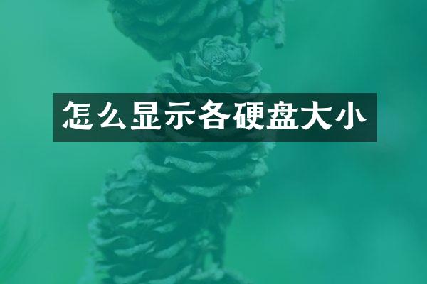 怎么显示各硬盘大小