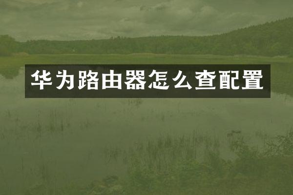 华为路由器怎么查配置