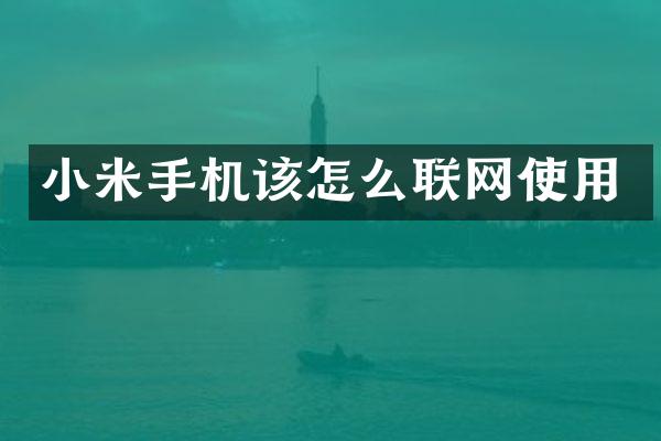小米手机该怎么联网使用