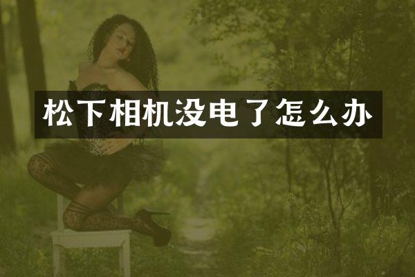 松下相机没电了怎么办