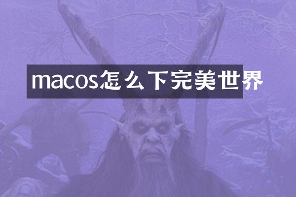 macos怎么下完美世界