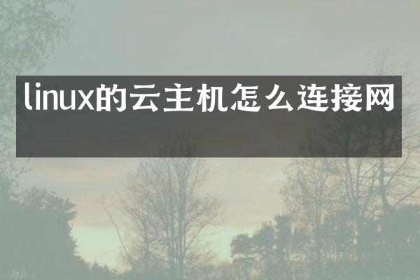 linux的云主机怎么连接网络
