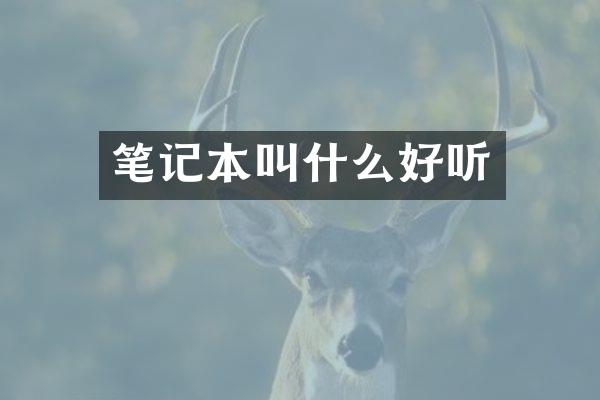 笔记本叫什么好听