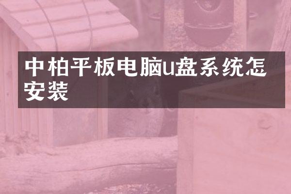 中柏平板电脑u盘系统怎么安装