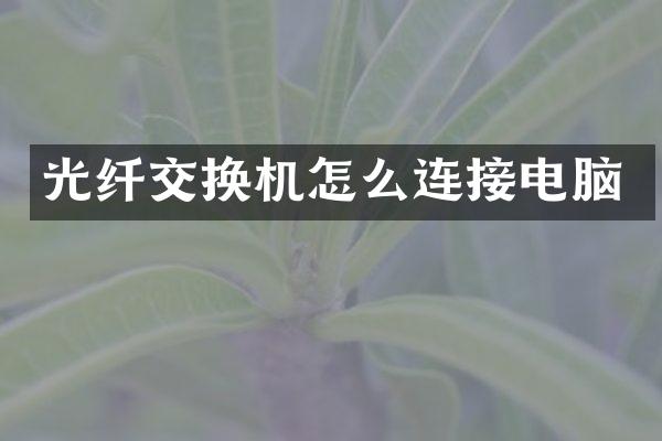 光纤交换机怎么连接电脑