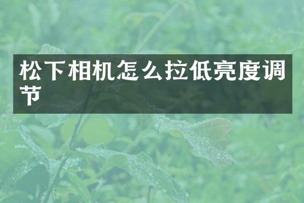 松下相机怎么拉低亮度调节